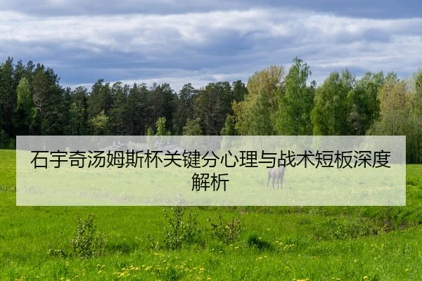 shi-yu-qi-tang-mu-si-bei-guan-jian-fen-xin-li-yu-zhan-shu-duan-ban-shen-du-jie-xi-2-339.jpg