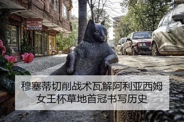 mu-sai-di-qie-xiao-zhan-shu-wa-jie-a-li-ya-xi-mu-nv-wang-bei-cao-di-shou-guan-shu-xie-li-shi-2-222.jpg